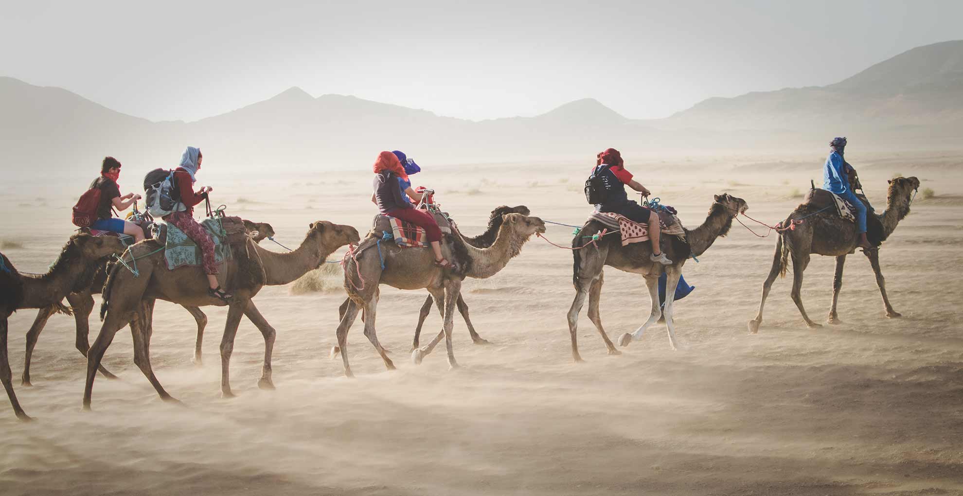 学生在沙漠骑骆驼