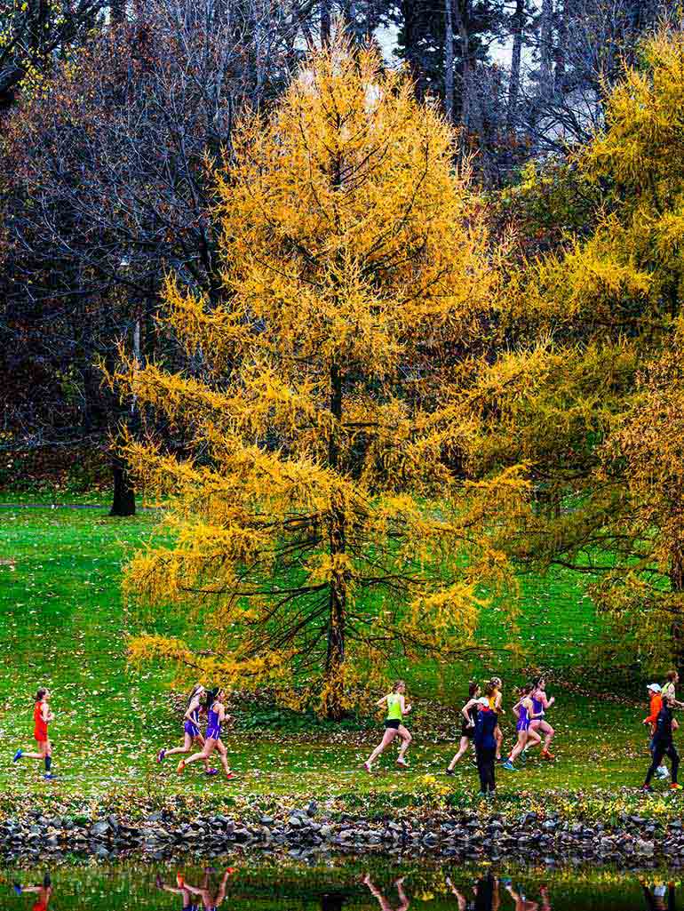 188金宝慱体育官网app圣大学Thomas遍历高尔夫球场黄树